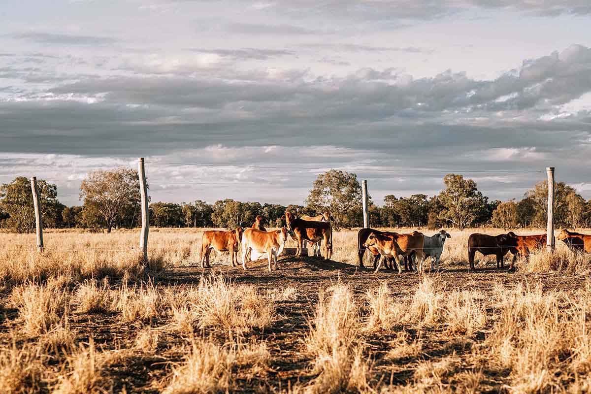 Image: Amy Holcombe Photography.